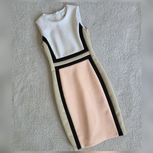 Calvin Klein Colorblock Dress